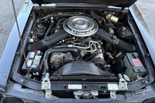 1982 Ford Mustang GT 3rd Gen - Image 6 of 8