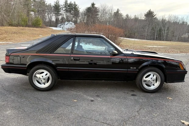 1982 Ford Mustang GT 3rd Gen - Image 3 of 8