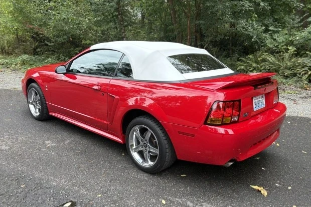 1999 Ford SN95 Mustang Cobra - Image 2 of 7