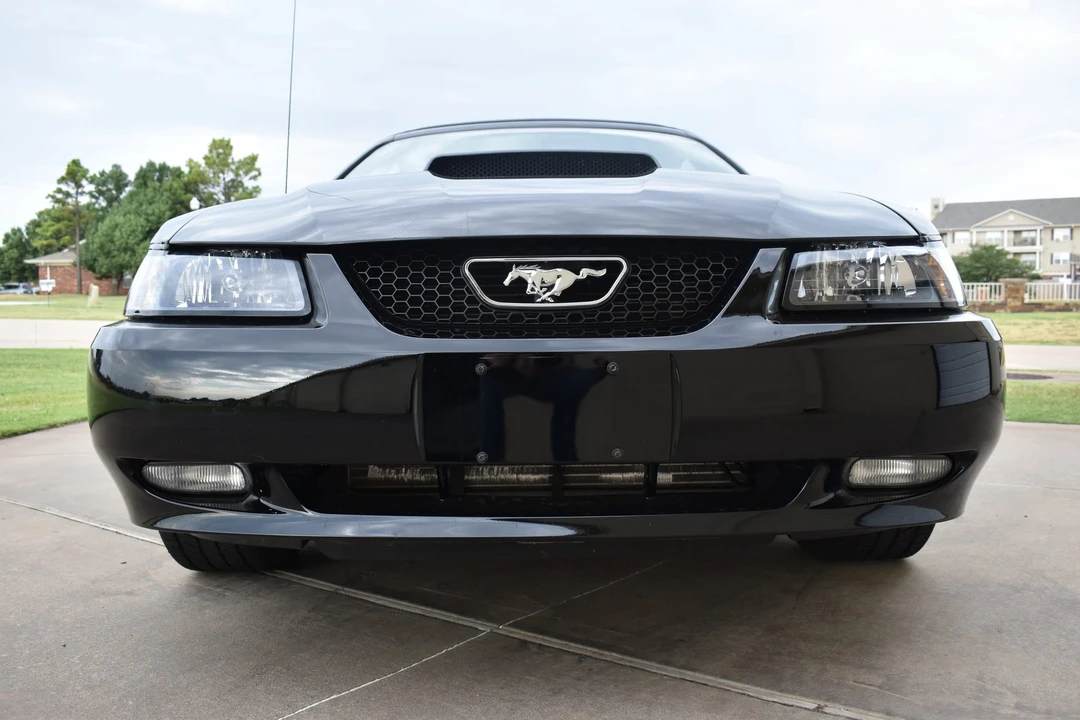 2002 Ford SN95 Mustang - Image 15 of 31