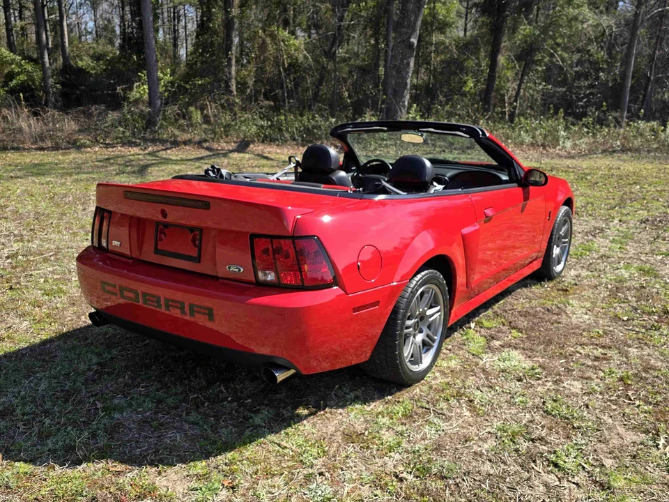 2003 Ford SN95 Mustang Cobra - Image 11 of 31