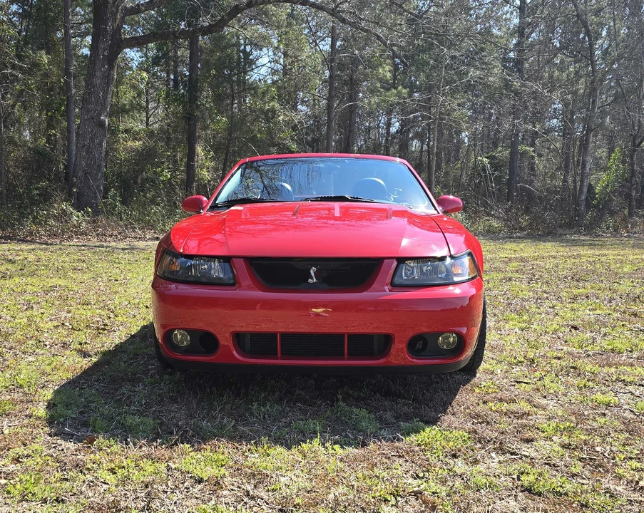 2003 Ford SN95 Mustang Cobra - Image 2 of 31