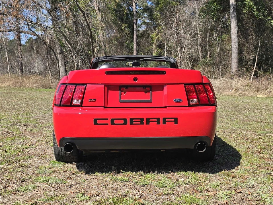 2003 Ford SN95 Mustang Cobra - Image 8 of 31