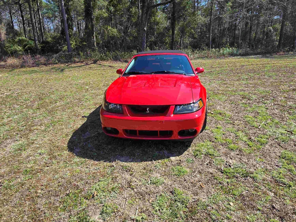 2003 Ford SN95 Mustang Cobra - Image 25 of 31