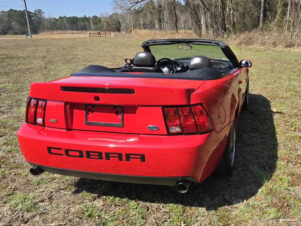 2003 Ford SN95 Mustang Cobra - Image 9 of 31