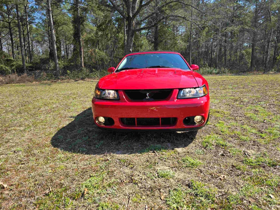 2003 Ford SN95 Mustang Cobra - Image 16 of 31