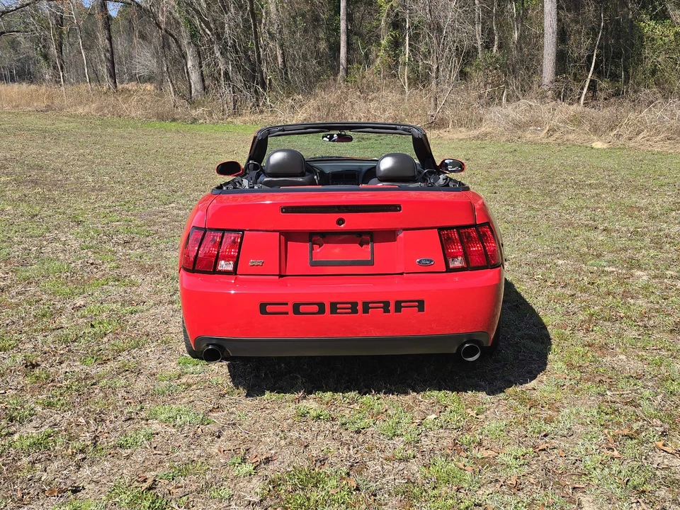 2003 Ford SN95 Mustang Cobra - Image 17 of 31
