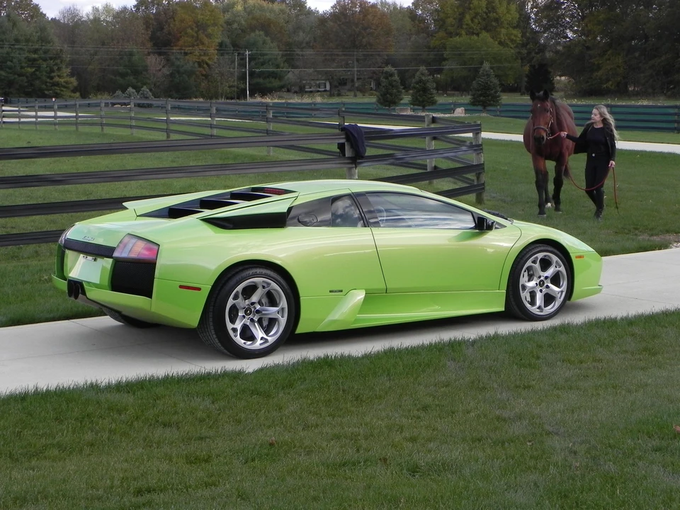 2006 Lamborghini Murcielago - Image 8 of 31