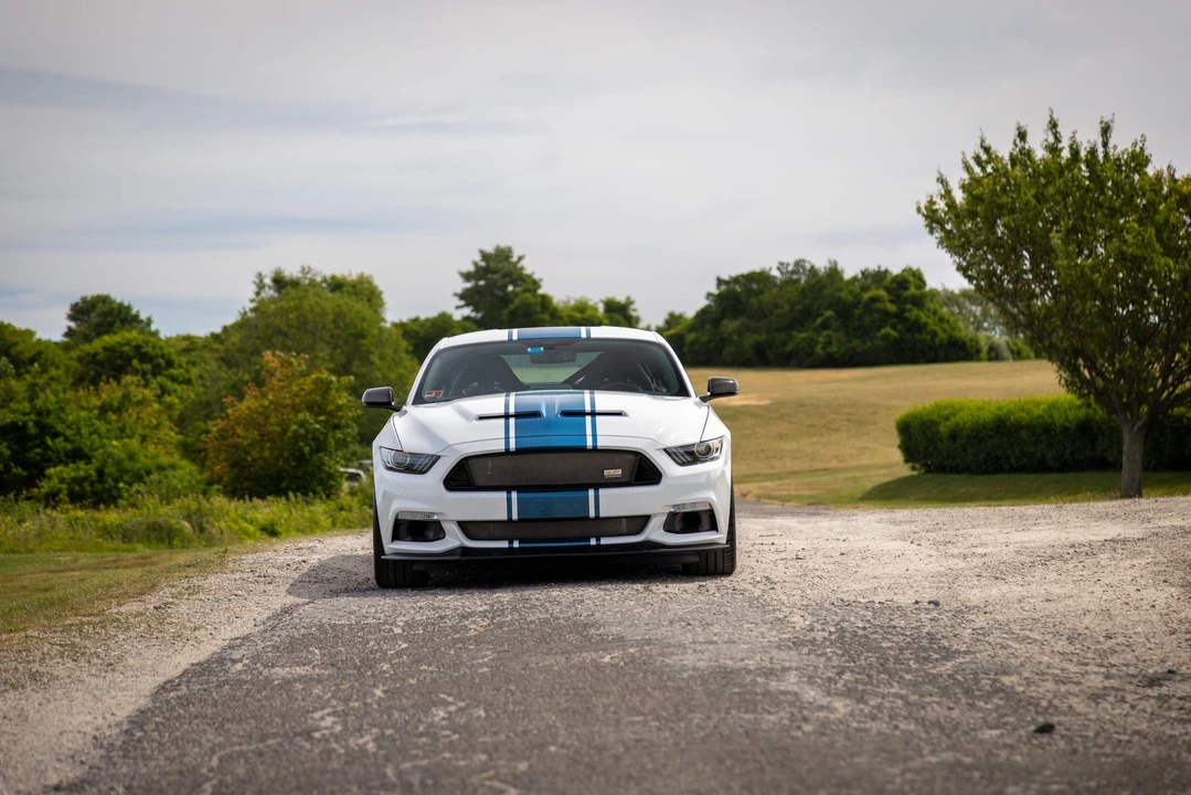 2017 Ford S550 Shelby Mustang GT & GT-H & Terlingua & GTE - Image 11 of 31