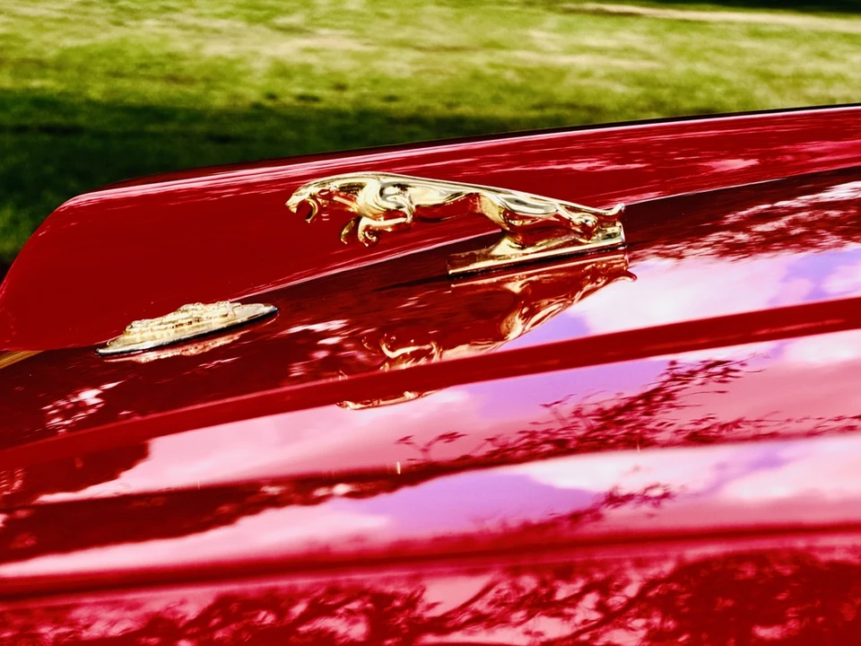 1989 Jaguar XJS Pre-Facelift V12 - Image 22 of 31