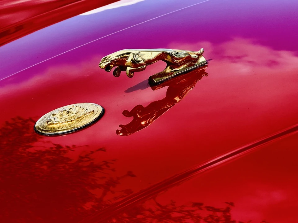 1989 Jaguar XJS Pre-Facelift V12 - Image 23 of 31
