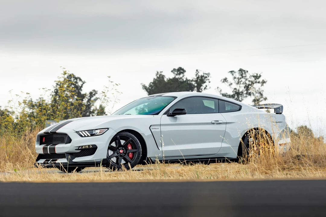 2017 Ford S550 Shelby Mustang GT350R - Image 15 of 31