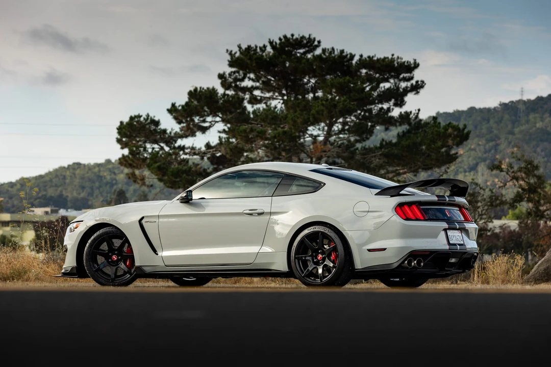 2017 Ford S550 Shelby Mustang GT350R - Image 22 of 31