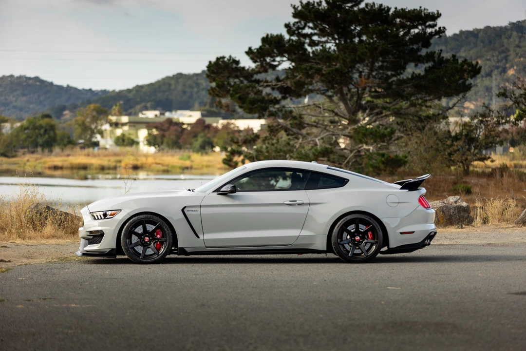 2017 Ford S550 Shelby Mustang GT350R - Image 19 of 31