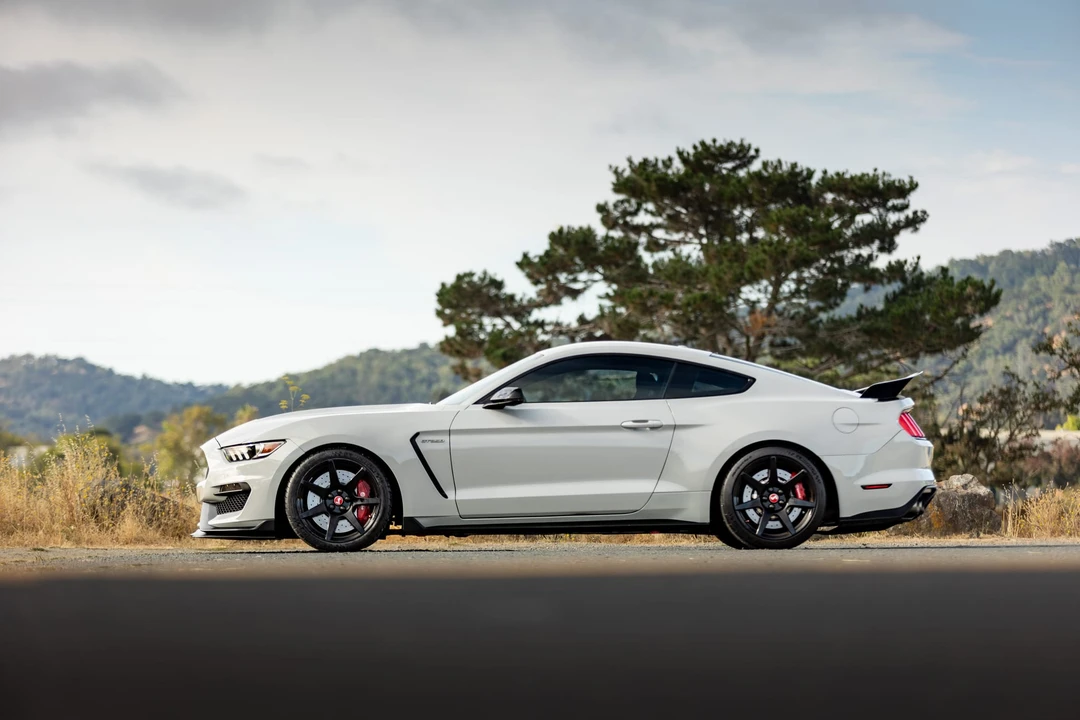 2017 Ford S550 Shelby Mustang GT350R - Image 20 of 31