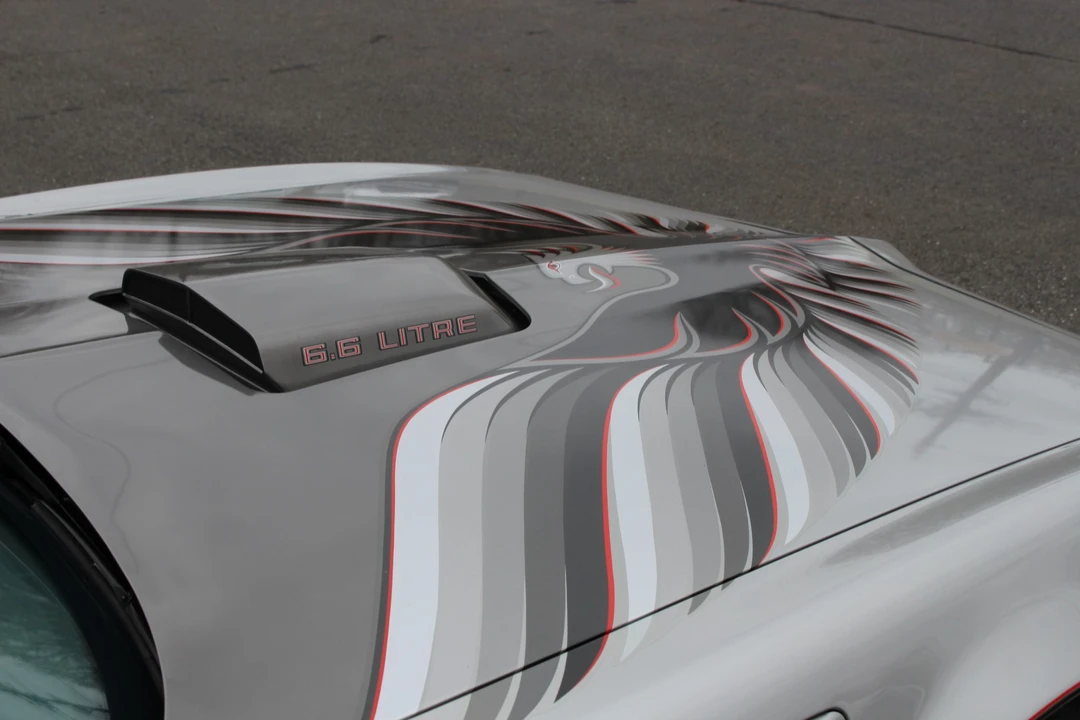 1979 Pontiac Firebird Trans Am 2nd Gen - Image 23 of 31