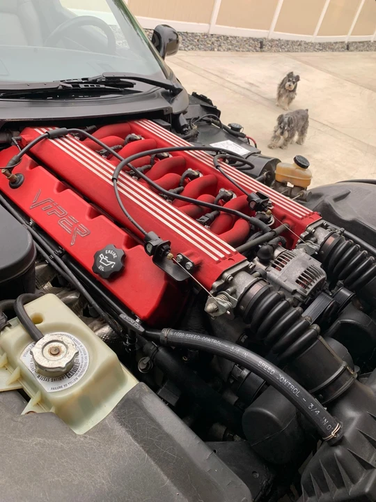 1994 Dodge Viper 1st Gen - Image 31 of 31