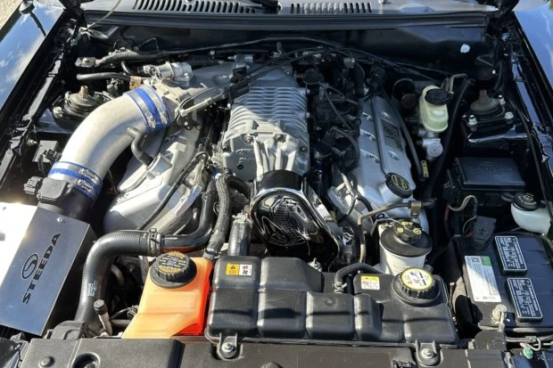 2004 Ford SN95 Mustang Cobra - Image 6 of 7