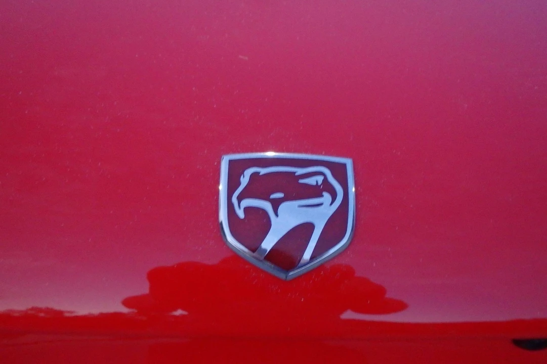 1994 Dodge Viper 1st Gen - Image 29 of 31