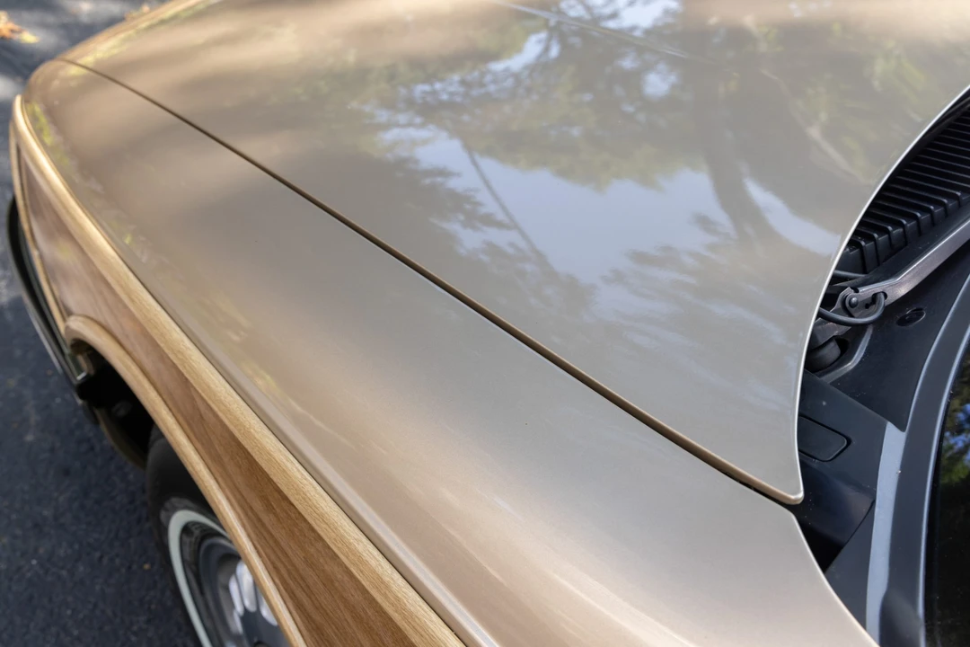 1996 Buick Roadmaster - Image 20 of 31