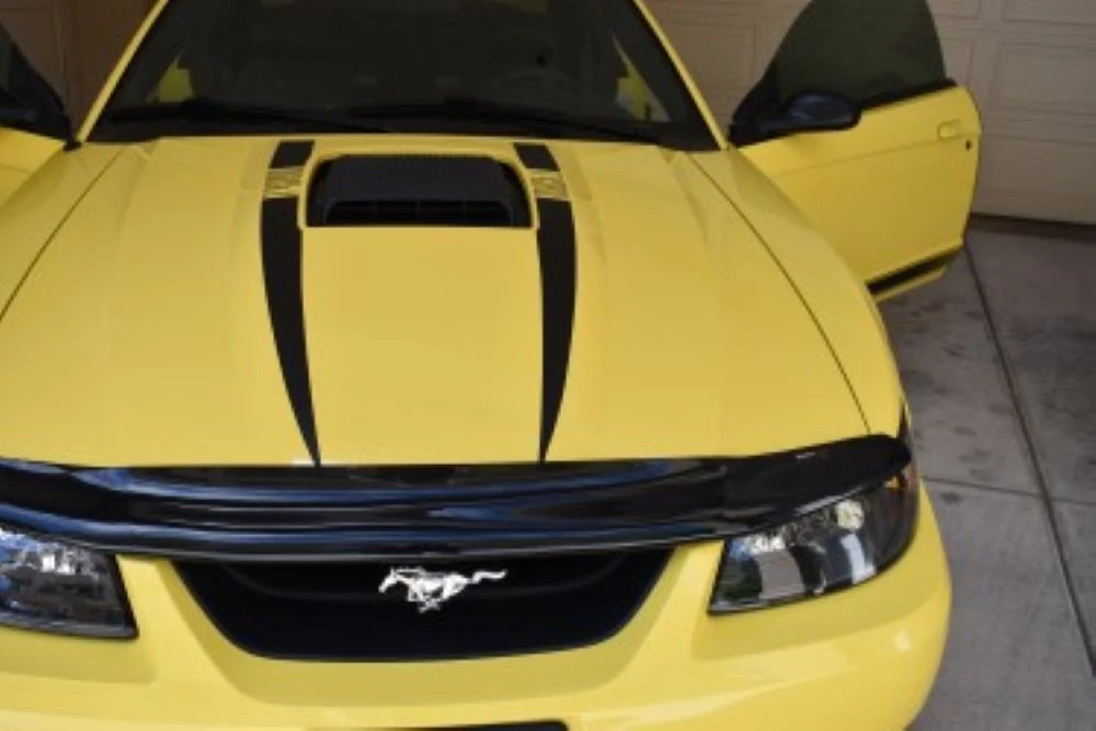 2003 Ford SN95 Mustang - Image 13 of 31