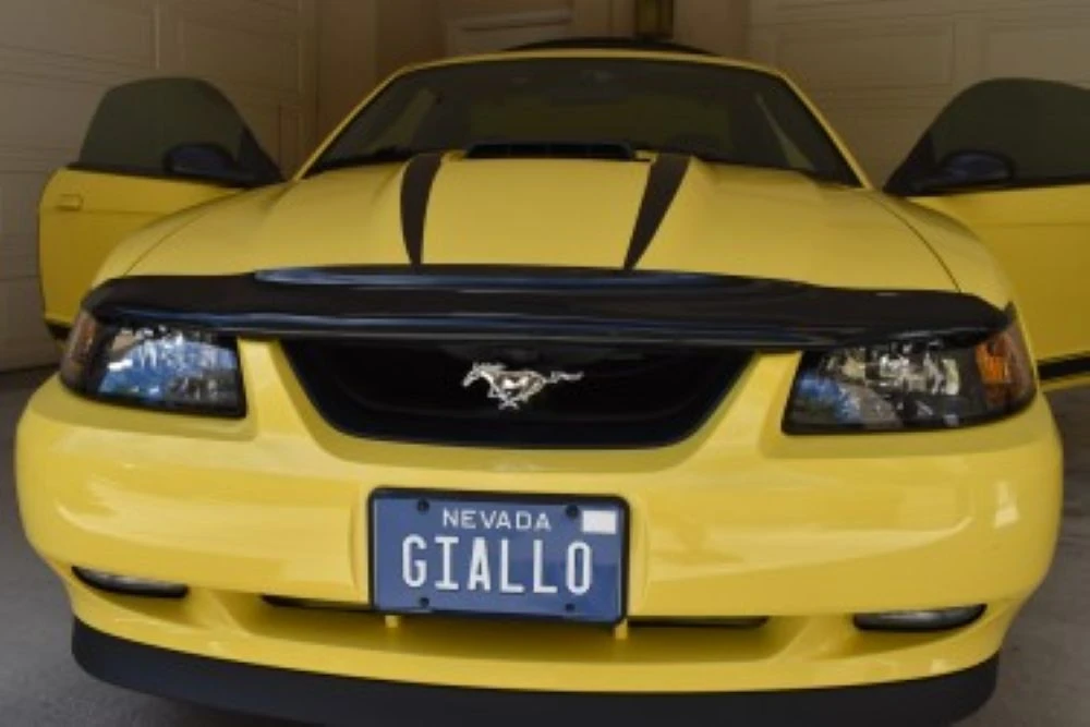 2003 Ford SN95 Mustang - Image 12 of 31