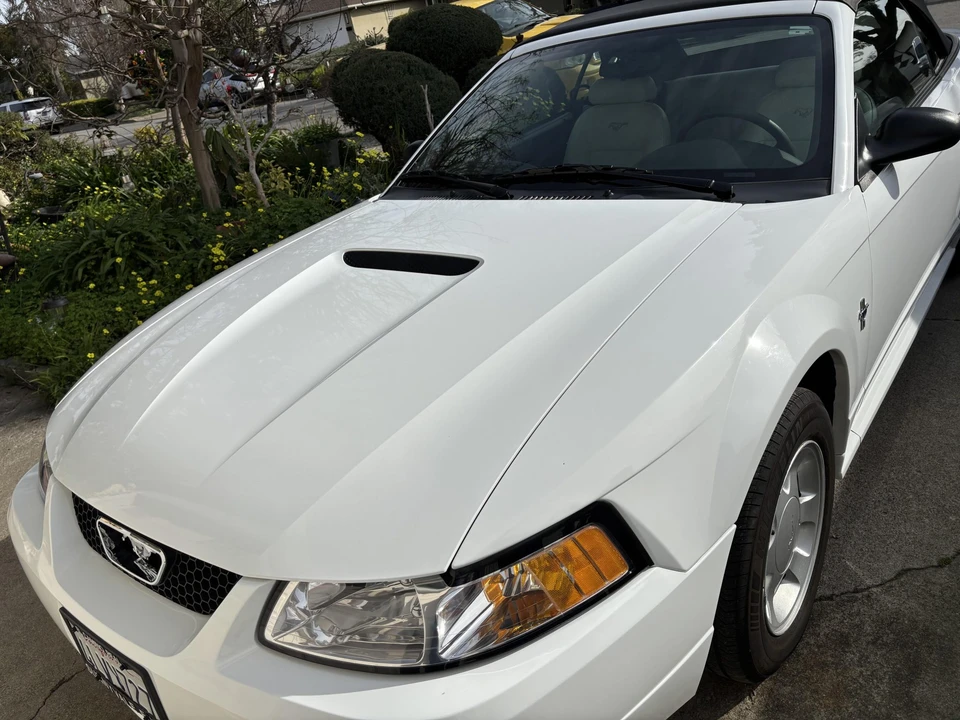 2000 Ford SN95 Mustang - Image 31 of 31