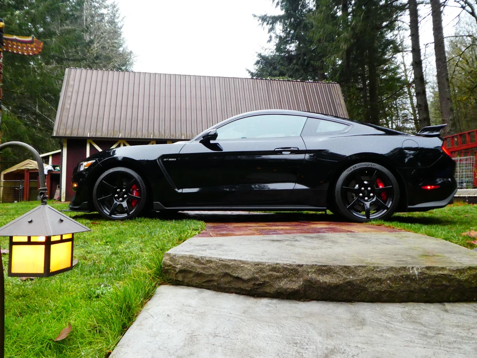 2016 Ford S550 Shelby Mustang GT350R - Image 13 of 31