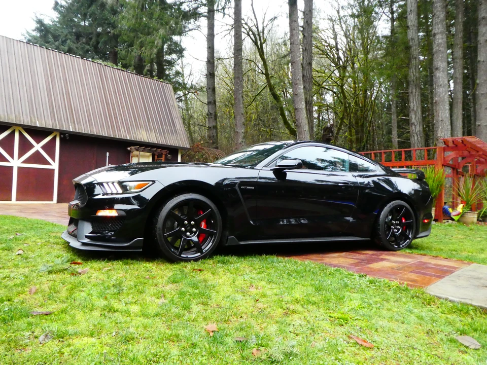 2016 Ford S550 Shelby Mustang GT350R - Image 14 of 31