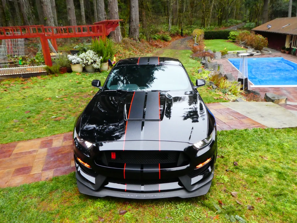 2016 Ford S550 Shelby Mustang GT350R - Image 15 of 31