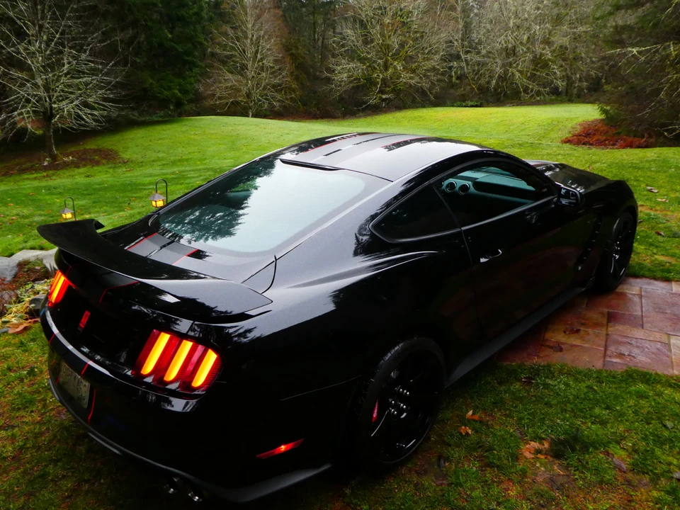 2016 Ford S550 Shelby Mustang GT350R - Image 18 of 31