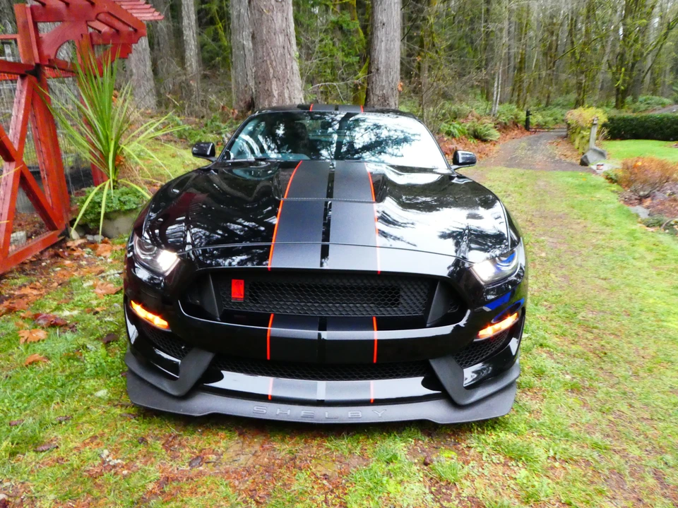 2016 Ford S550 Shelby Mustang GT350R - Image 26 of 31