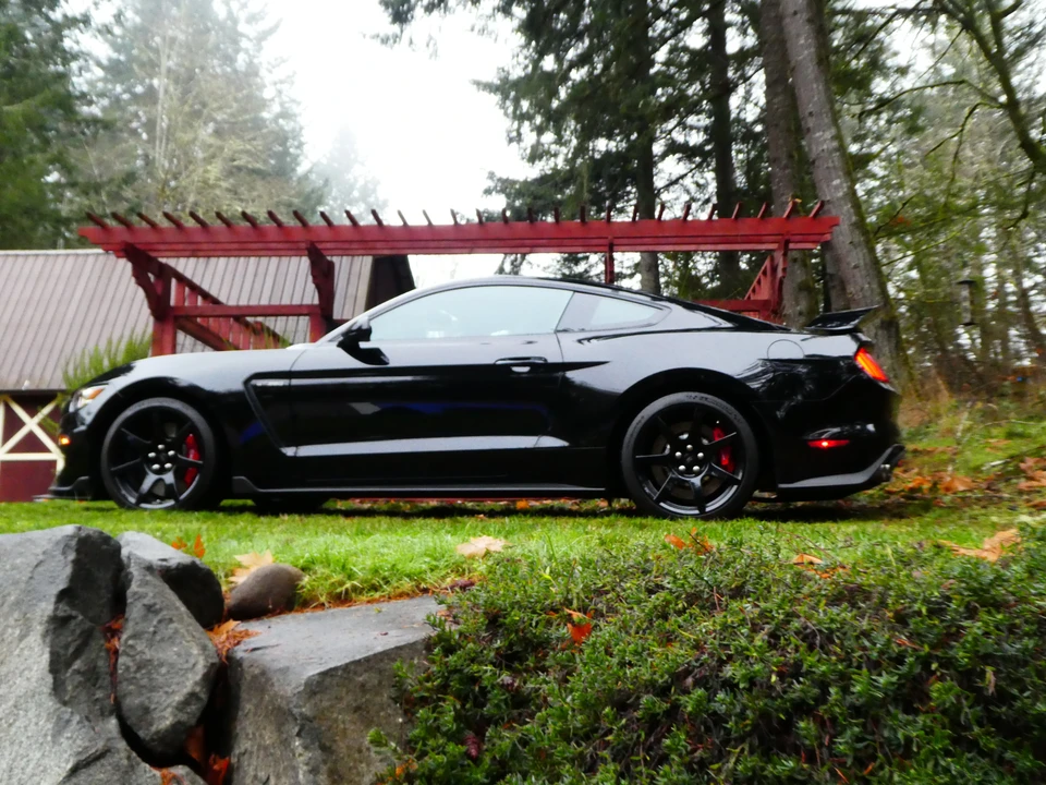 2016 Ford S550 Shelby Mustang GT350R - Image 23 of 31