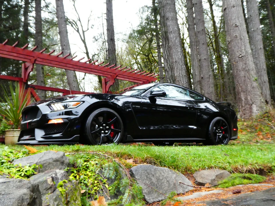 2016 Ford S550 Shelby Mustang GT350R - Image 25 of 31