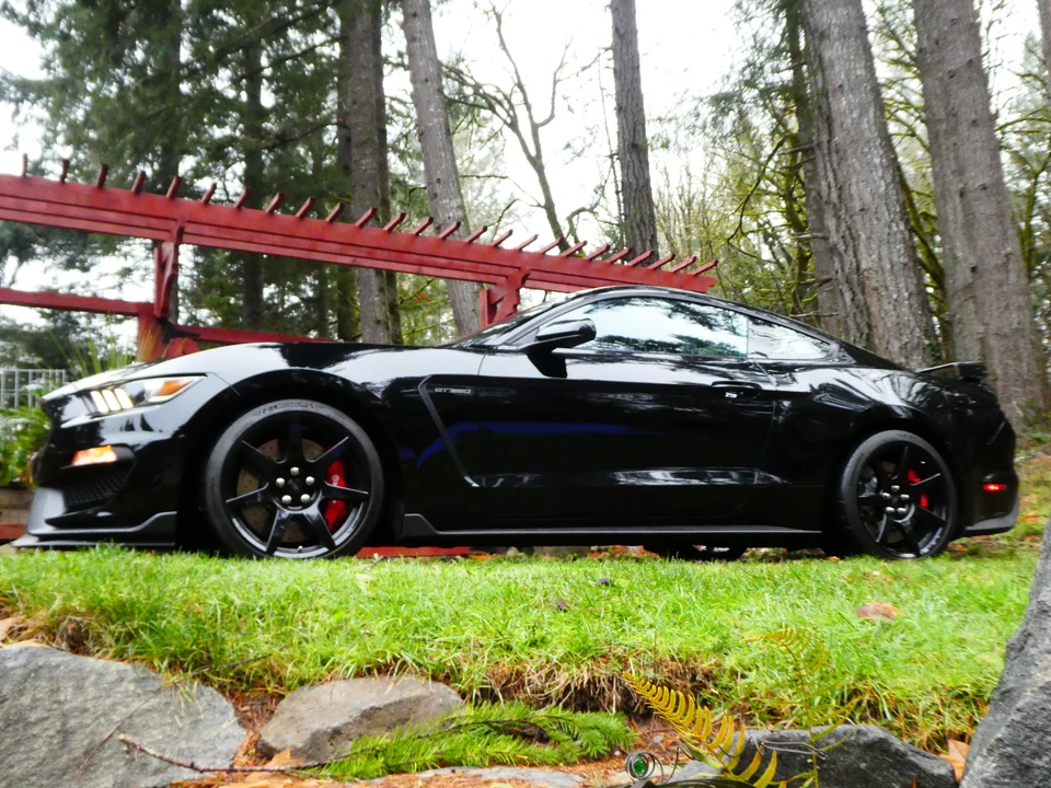 2016 Ford S550 Shelby Mustang GT350R - Image 24 of 31