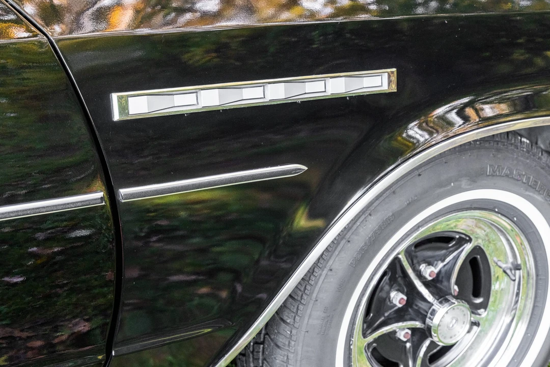 1977 Buick Electra - Image 17 of 31