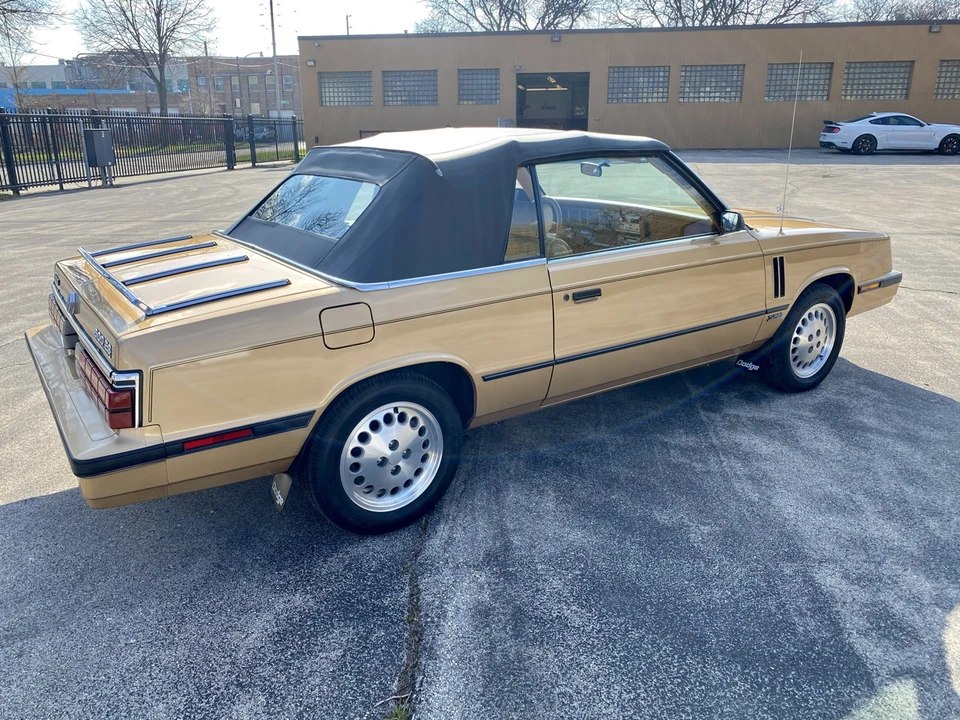 1985 Dodge 600 - Image 16 of 31
