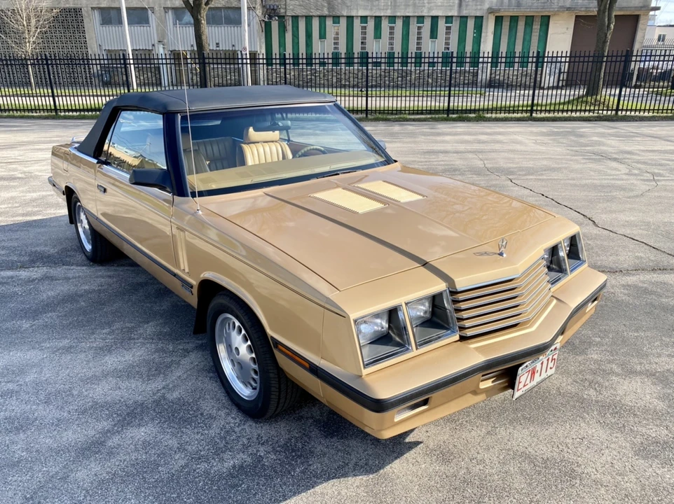 1985 Dodge 600 - Image 3 of 31