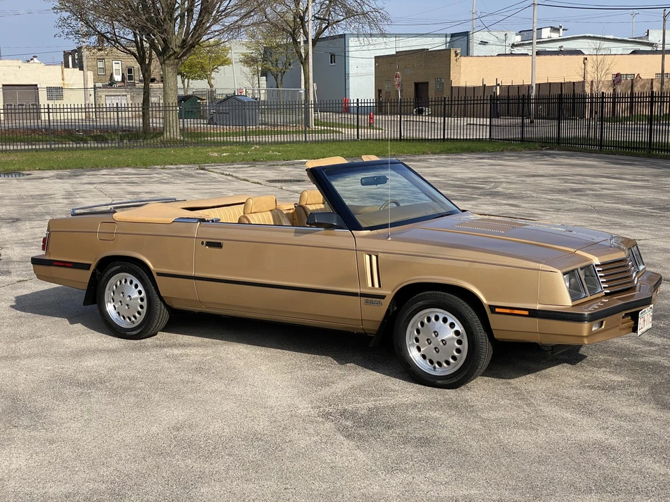 1985 Dodge 600 - Image 2 of 31