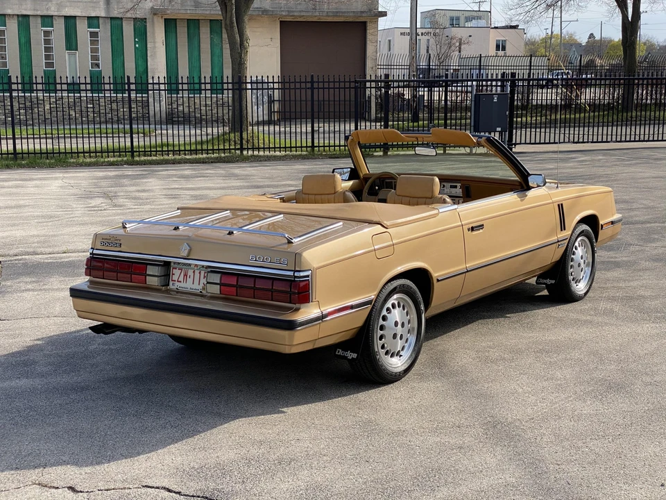 1985 Dodge 600 - Image 13 of 31