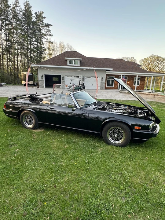 1991 Jaguar XJS Convertible - Image 8 of 31
