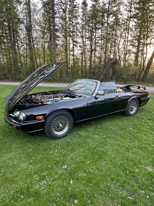 1991 Jaguar XJS Convertible - Image 3 of 31
