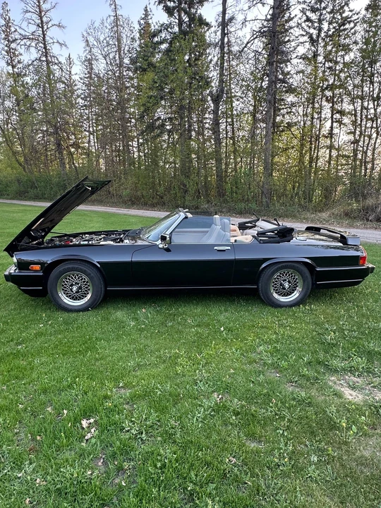 1991 Jaguar XJS Convertible - Image 18 of 31