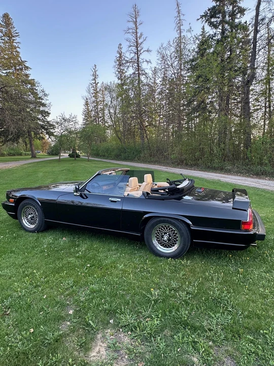 1991 Jaguar XJS Convertible - Image 14 of 31