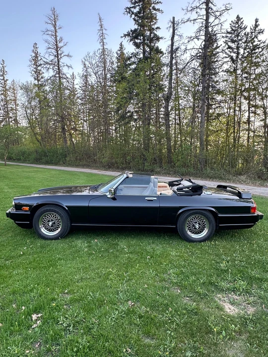 1991 Jaguar XJS Convertible - Image 17 of 31