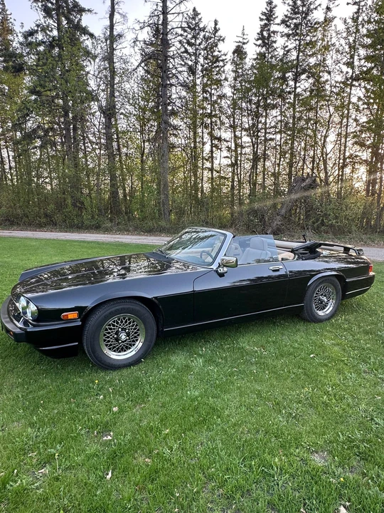 1991 Jaguar XJS Convertible - Image 10 of 31