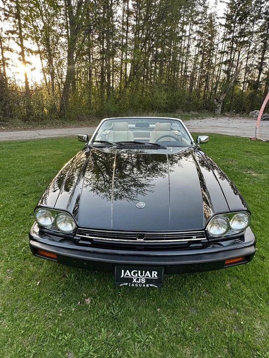 1991 Jaguar XJS Convertible - Image 11 of 31