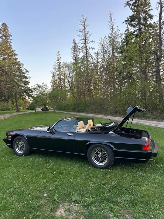 1991 Jaguar XJS Convertible - Image 16 of 31