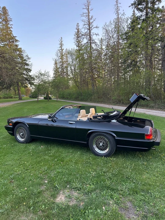 1991 Jaguar XJS Convertible - Image 15 of 31