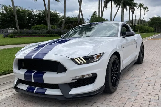2015 Ford Shelby Mustang GT350